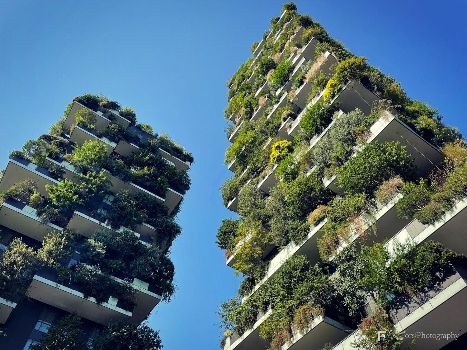 Two residential towers covered in trees and shrubs on every balcony, seen from below against a clear blue sky.
