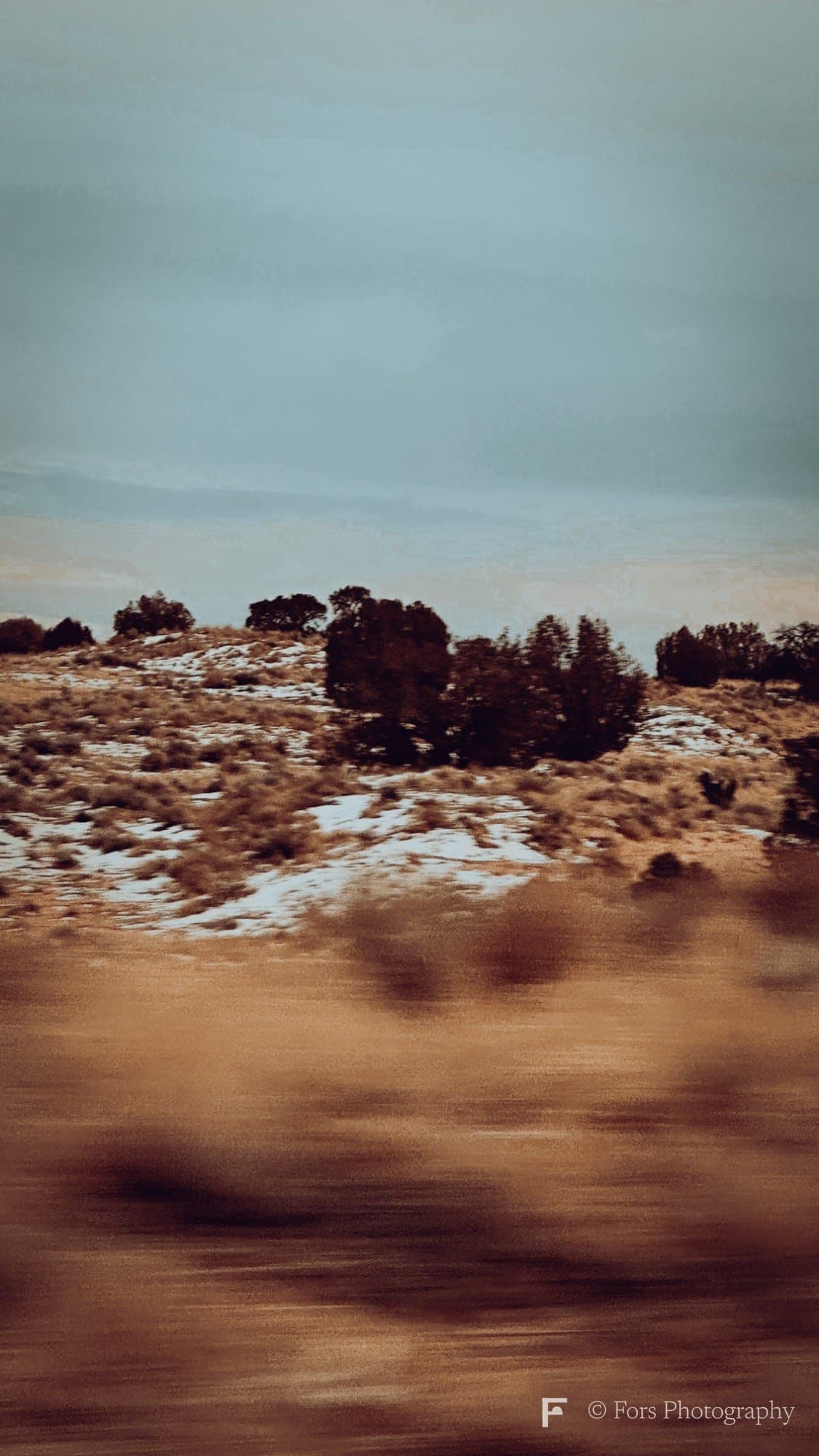 A hillside of dry grass with patches of snow and dark juniper trees under a pale blue-grey sky, the foreground blurred into brown streaks by motion.