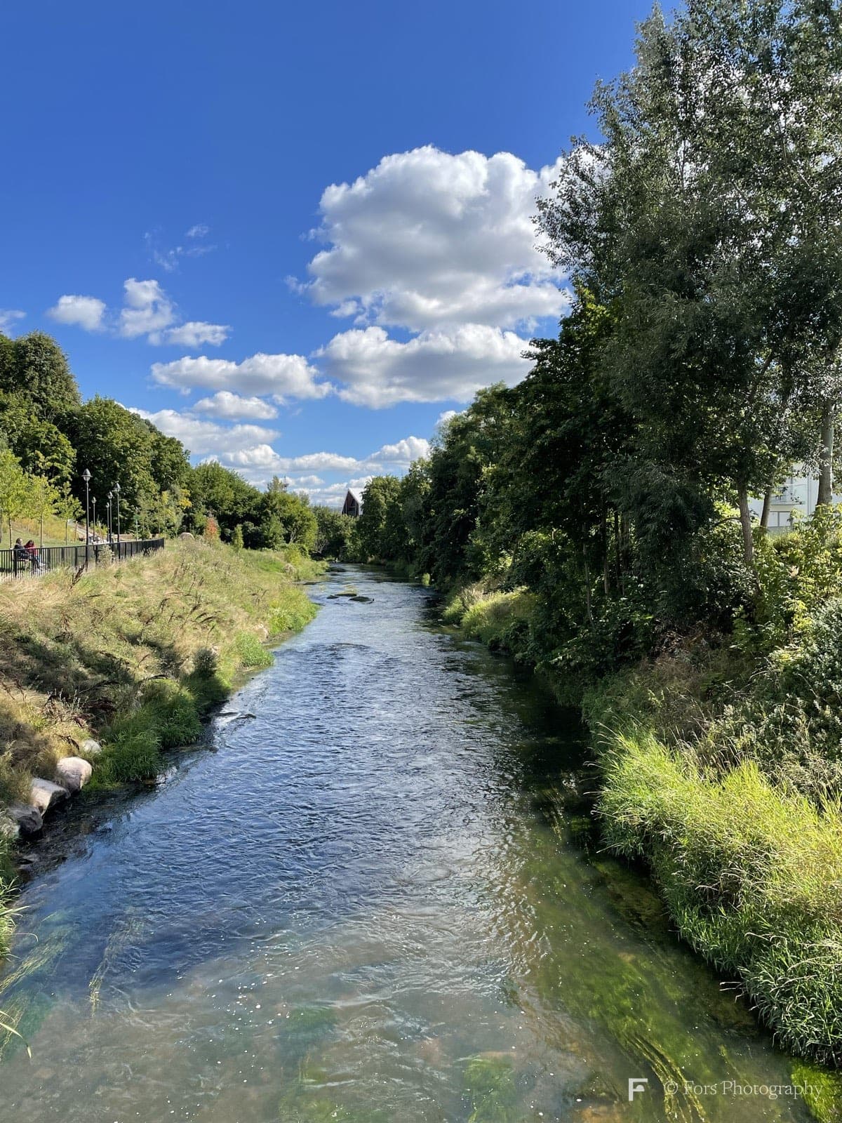 A clear, shallow river running toward the camera between a grassy bank with a fence on the left and tall trees on the right, under a deep blue sky with white clouds.