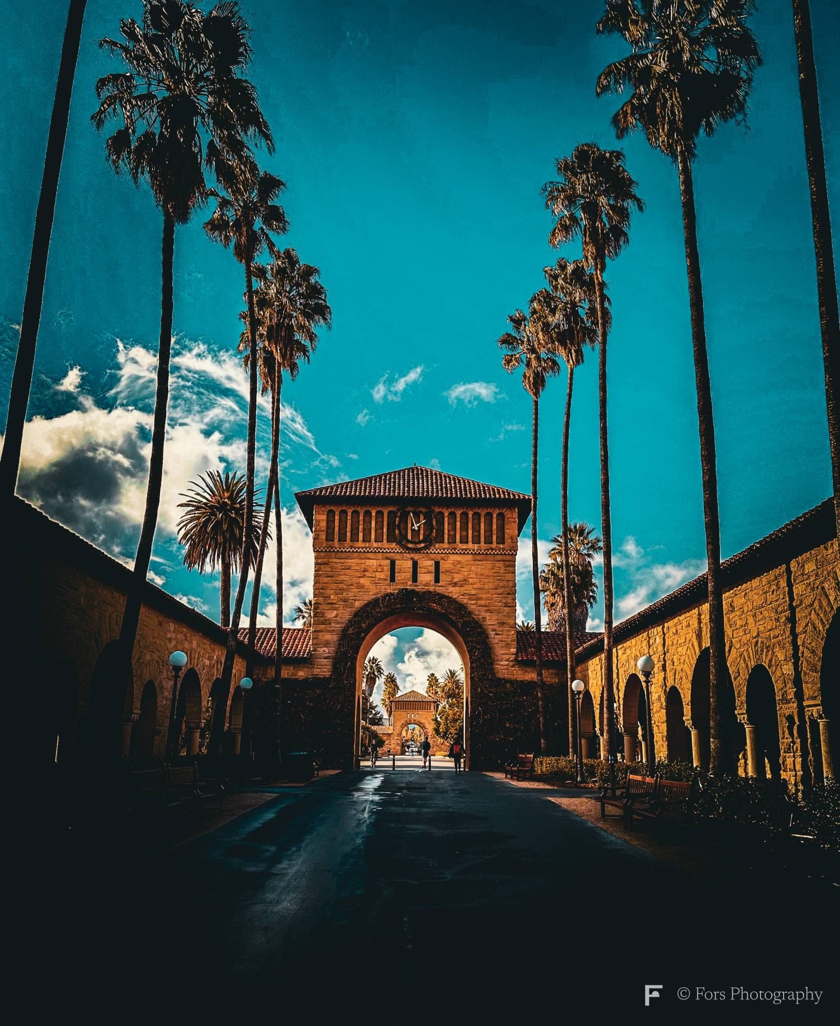 A wet path leading to a sandstone arch and clock tower at Stanford, flanked by tall palm trees under a saturated blue sky with scattered clouds.